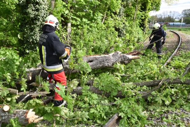 Sturmbilanz: Verletzte durch umgestürzte Bäume, Feuerwehr im Dauereinsatz