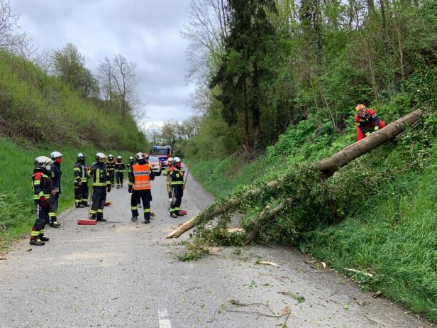Sturmbilanz: Verletzte durch umgestürzte Bäume, Feuerwehr im Dauereinsatz