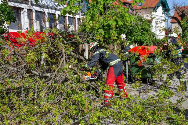 ++ HANDOUT ++ STURM - 230 EINSÄTZE FÜR 110 FEUERWEHREN IN NIEDERÖSTERREICH