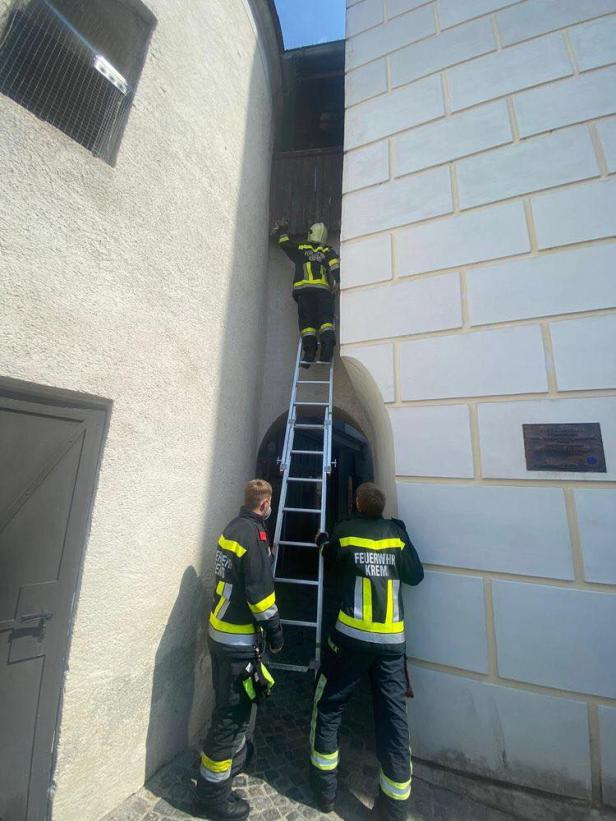 Feuerwehr befreite Tauben am Kremser Steiner Tor