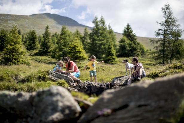 5 wunderschöne Naturparks für einen Sommerausflug