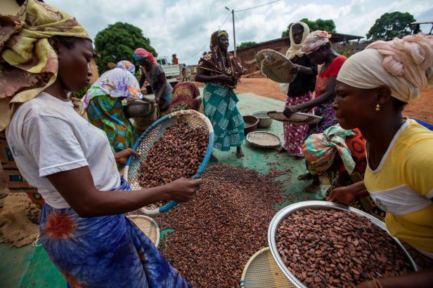 Schokolade: Internationaler Machtkampf um die Kakao-Bohne