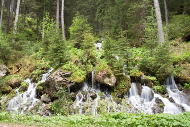 Milliardärin züchtet Luxus-Garnelen in den steirischen Bergen