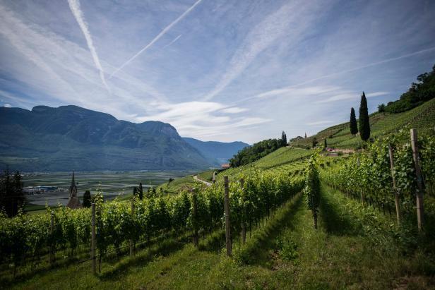 Aktivtourismus in Südtirol: Natur hautnah erleben