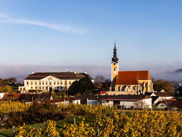 850 Jahre Weingut Schloss Gobelsburg: Ein Kreuzgang  für reife Weine
