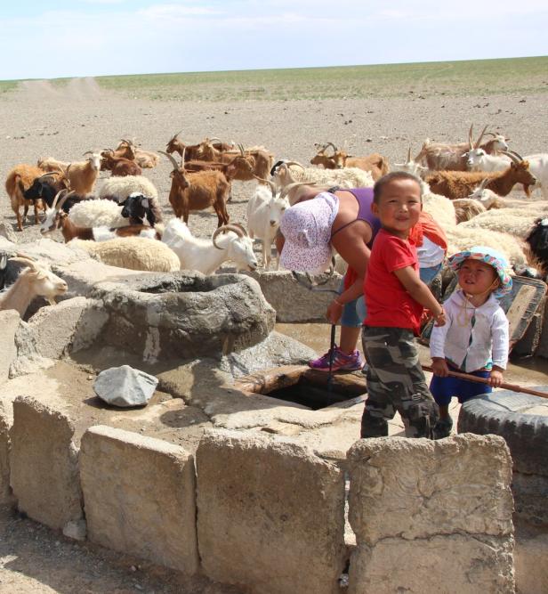 Land in Leuchtfarben: Eine Reise quer durch die Mongolei