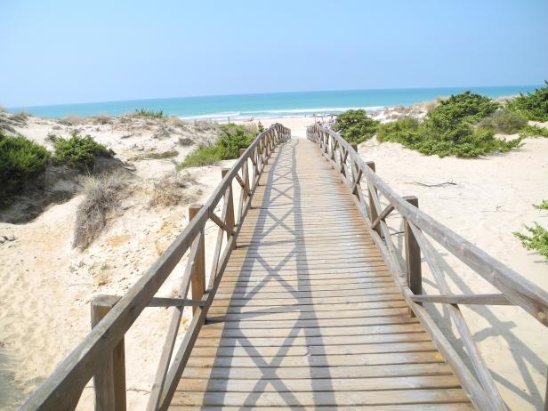 Ein Holzsteg führt über Sanddünen zu einem Strand am Meer.