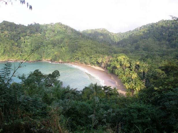 Eine malerische Bucht mit türkisfarbenem Wasser und üppiger Vegetation.