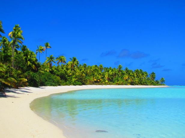 Ein tropischer Strand mit türkisfarbenem Wasser und Palmen unter blauem Himmel.
