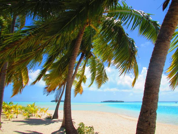 Palmen säumen einen weißen Sandstrand mit türkisfarbenem Wasser.