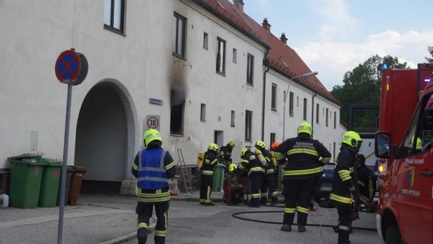 Brand in Ternitz forderte Schwerverletzten, 17 Katzen gerettet
