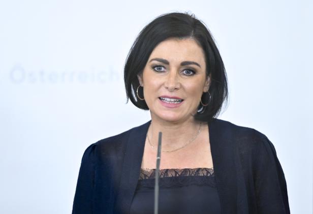 MINISTERRAT - PRESSEFOYER: KÖSTINGER