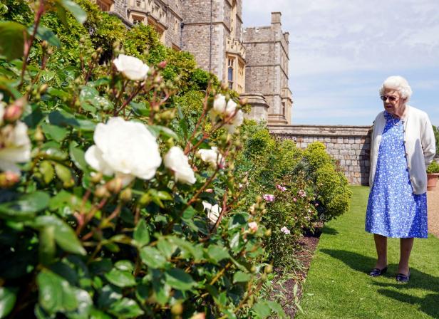 Queen pflanzte Rose zu Prinz Philips 100. Geburtstag