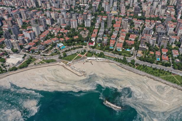 Vor Istanbul breitet sich der "Seerotz" immer weiter aus