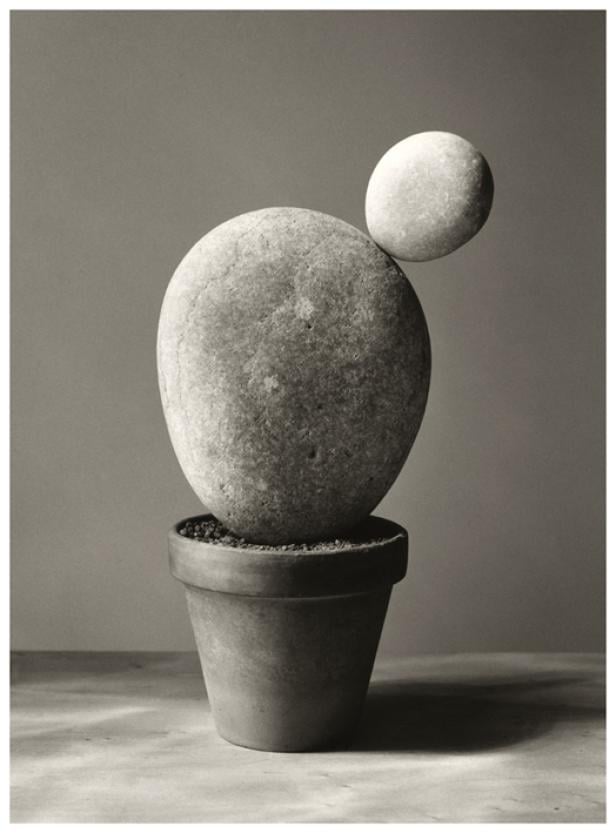 Chema Madoz: Der ästhetisierte Bildwitz