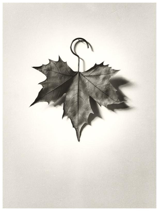 Chema Madoz: Der ästhetisierte Bildwitz