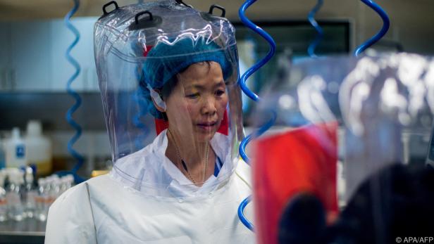 Virusforscherin Shi Zhengli glaubt nicht an einen Laborunfall
