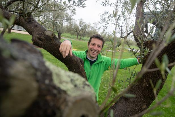 Malvazija und das Gold der Olive: Istrien auf dem Gaumen