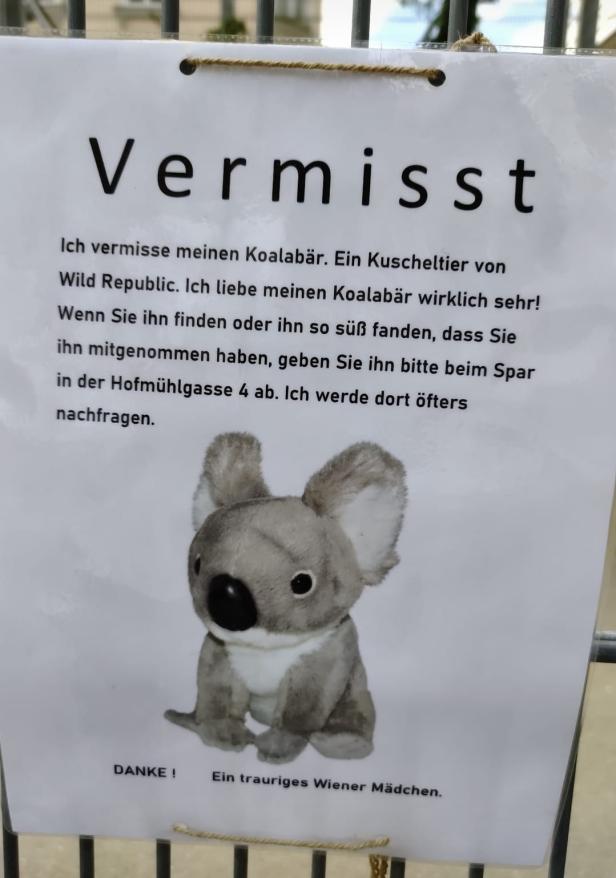 Trauriges Wiener Mädchen vermisst Stoffkoala: Partykollektiv kauft neuen
