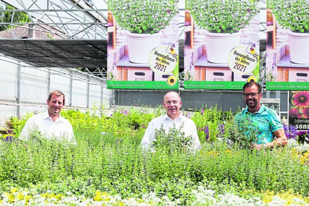 Siegergarten OÖ 2021