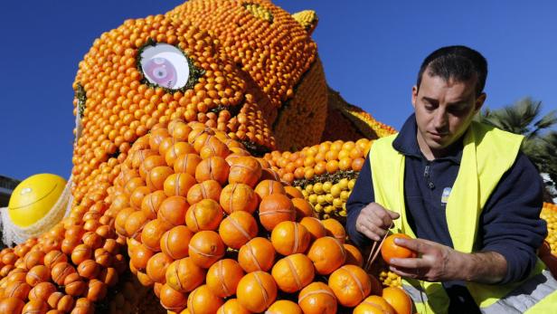 Ein Mann befestigt Orangen an einer großen Skulptur, die aus Zitrusfrüchten besteht.