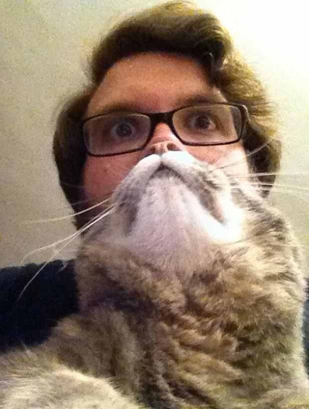 Ein Mann mit Brille hält eine Katze so, dass sie wie ein Bart aussieht.