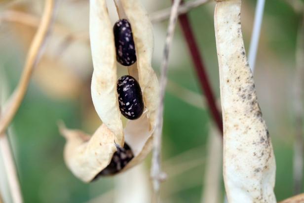 Städter kaufen sich ein Stück Natur