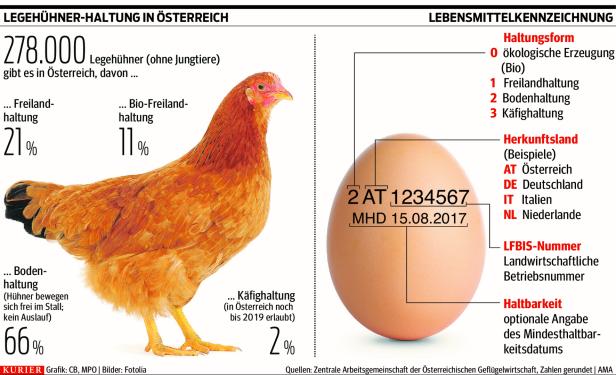 Umstrittene Diskonter-Aktion: Aufregung um erste Billig-Import-Eier seit 2009