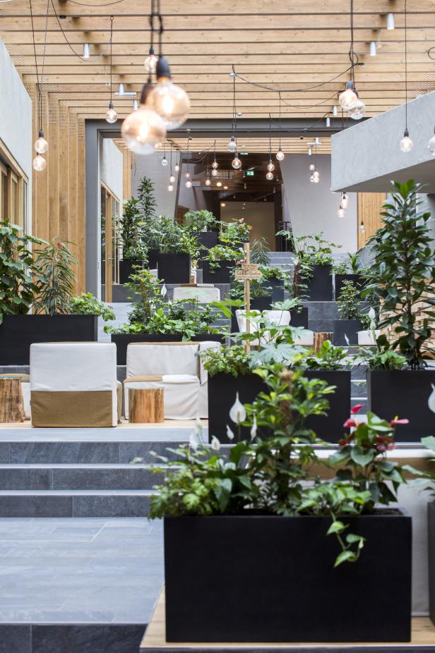Ein Innenraum mit Treppen, Pflanzen in schwarzen Töpfen und Sitzgelegenheiten.