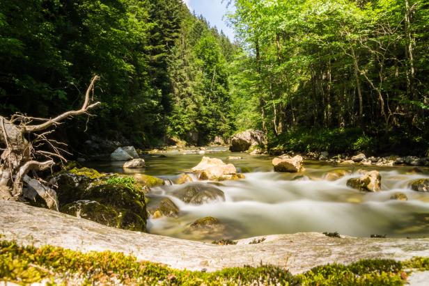 Sommererlebnisse mit Wasser und Berg im Mariazellerland