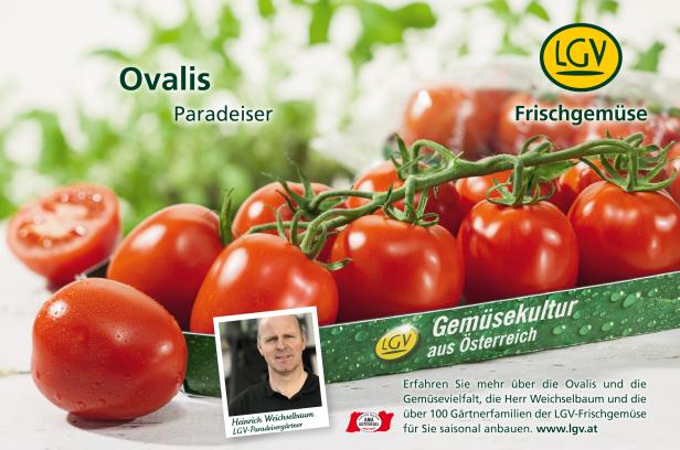Eine Nahaufnahme von „Ovalis“ Paradeisern der LGV Frischgemüse, mit Heinrich Weichselbaum abgebildet.