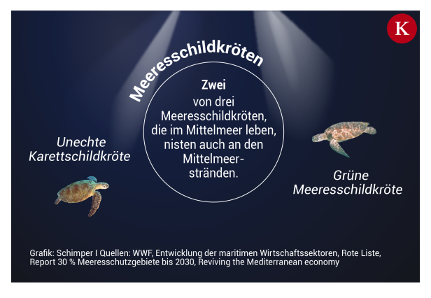 Urlaubsparadies? Das Mittelmeer ist in Gefahr