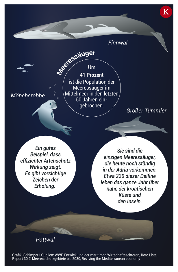 Urlaubsparadies? Das Mittelmeer ist in Gefahr