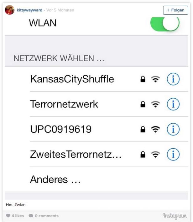 Ein Screenshot einer WLAN-Netzwerkliste mit dem Eintrag „Terrornetzwerk“.