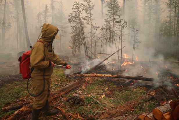Waldbrände verwüsten Sibiriens Taiga