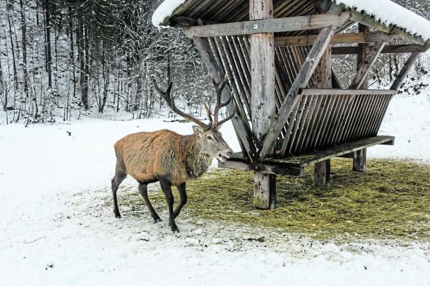 "Wir sehen uns als Teil  der Natur"