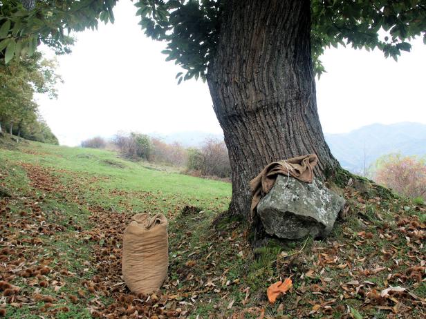 Toskana: Wo romantische Atmosphäre auf kulturelles Erbe trifft