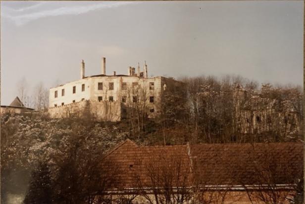 Schloss Viehofen in St. Pölten: Von der Ruine zum Traumschloss
