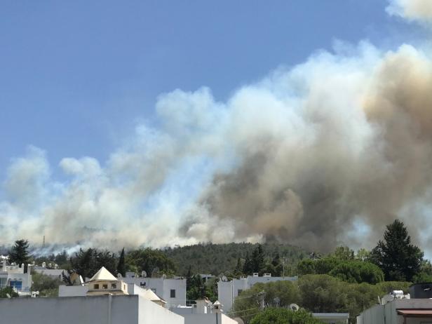 Plumes of smoke from a wildfire are seen near a residential area in the holiday resort of Bodrum