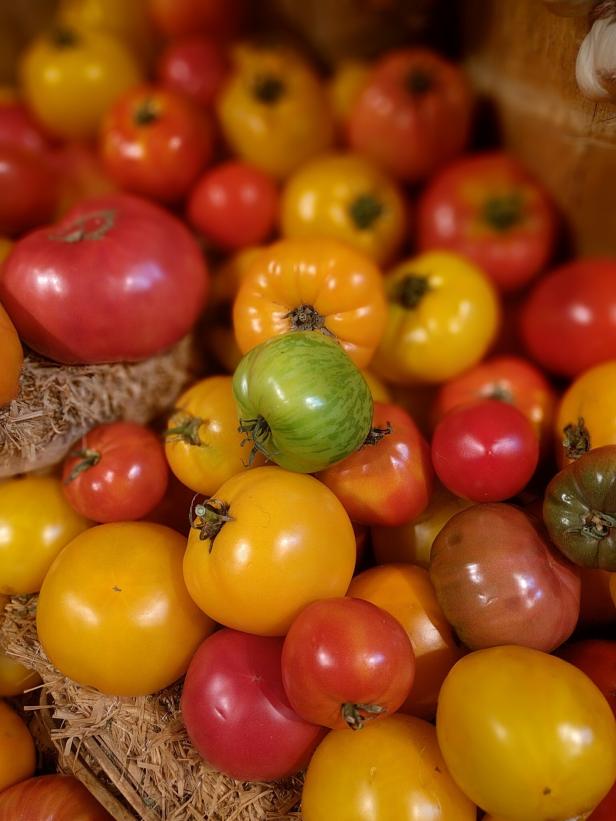 Vom Paradiesapfel zum Lieblingsgemüse – Tomaten