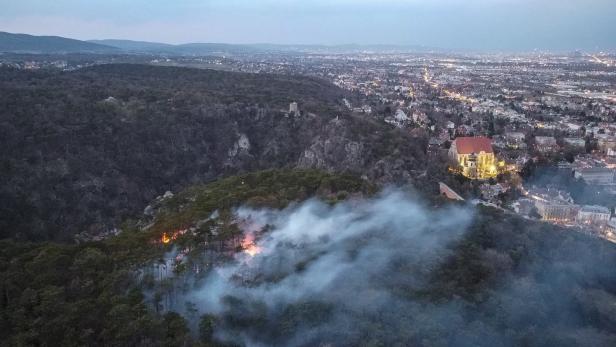 ++ HANDOUT ++ NIEDERÖSTERREICH: WALDBRAND IN MÖDLING