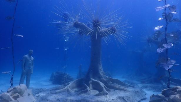 Unterwasserwald MUSAN: Der erste Unterwasser-Wald der Welt eröffnet vor Zypern