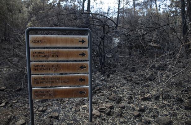 Nach Bränden in der Türkei: Ein Land in Schutt und Asche