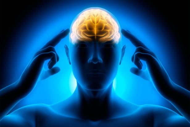 Eine stilisierte Darstellung eines menschlichen Kopfes mit hervorgehobenem Gehirn.