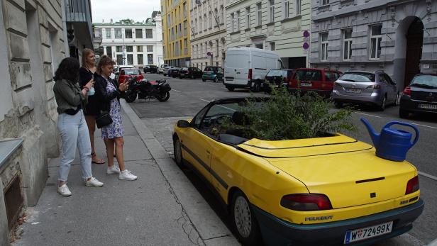 Gelbes Rätsel für grünere Straßen: Wer hinter dem Cabriobeet steckt