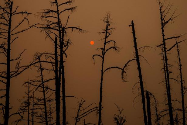 Drittes Feuer-Jahr in Russland: Klima-Expertin ist beunruhigt