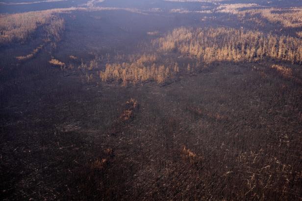 Drittes Feuer-Jahr in Russland: Klima-Expertin ist beunruhigt