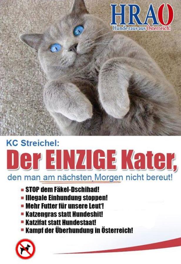 Eine graue Katze liegt auf dem Rücken, mit einem Slogan gegen Hunde in Österreich.