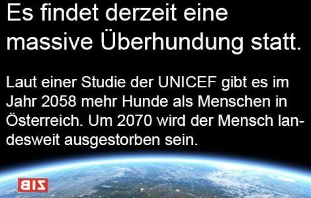 Laut einer Studie der UNICEF wird es im Jahr 2058 mehr Hunde als Menschen in Österreich geben. Um 2070 wird der Mensch landesweit ausgestorben sein.