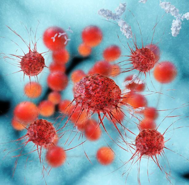 Schadet Chemotherapie in der Schwangerschaft?